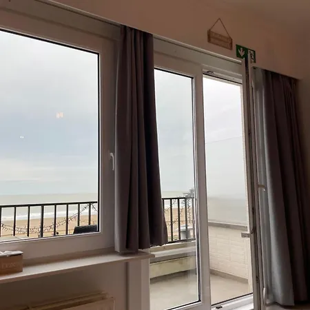 Zeezicht Delphine Blankenberge